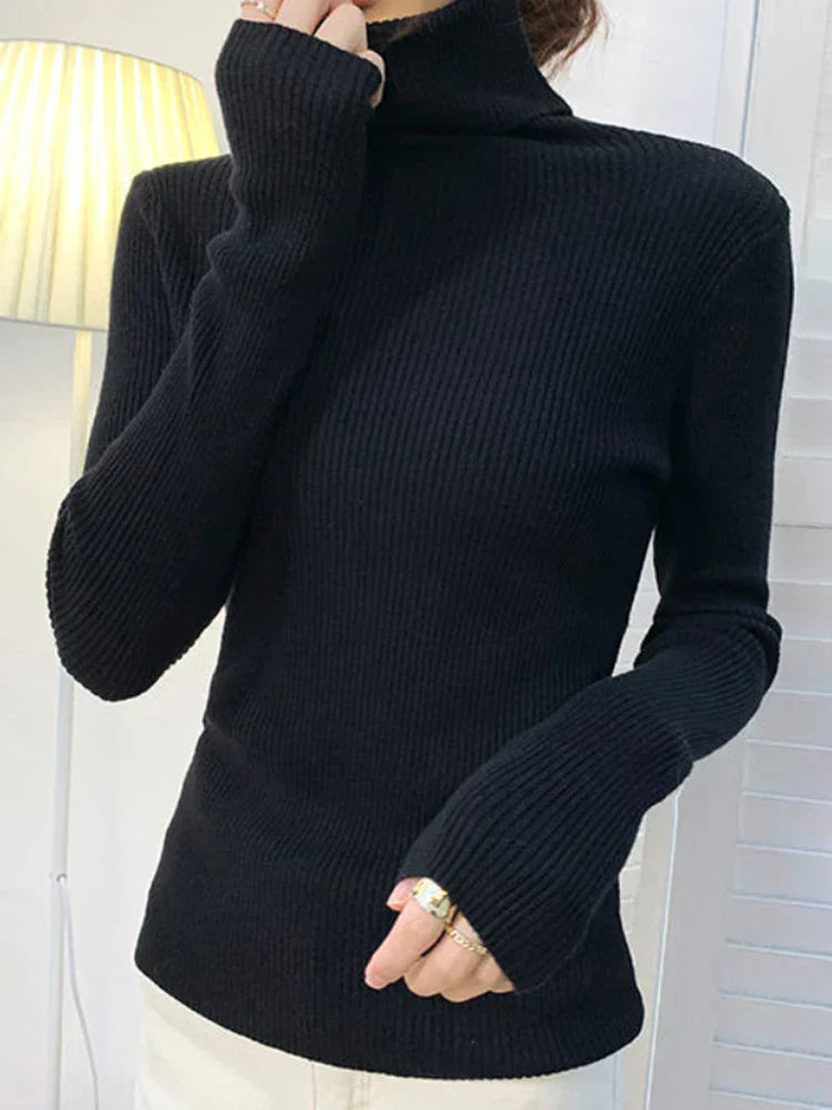 Margareta turtleneck sweater