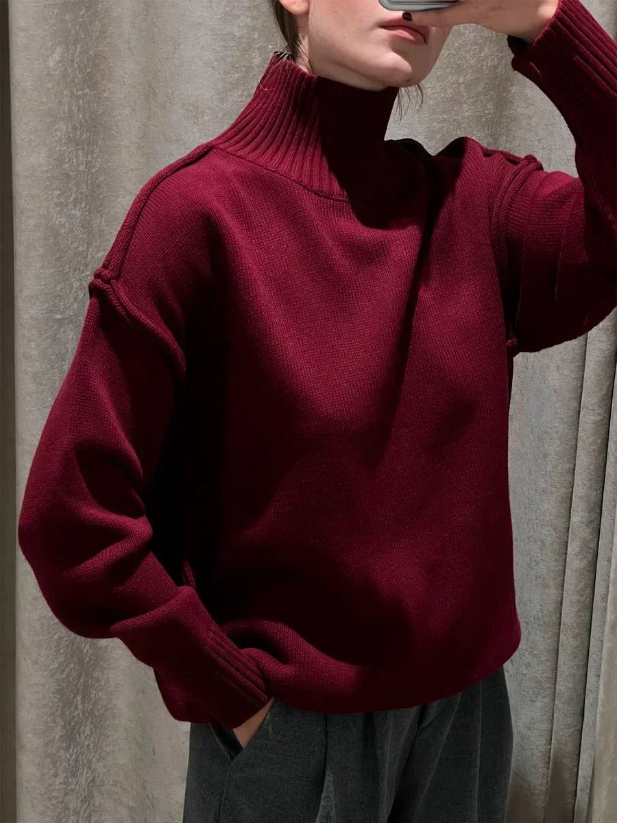 Darwin sweater with turtleneck in smooth knit look