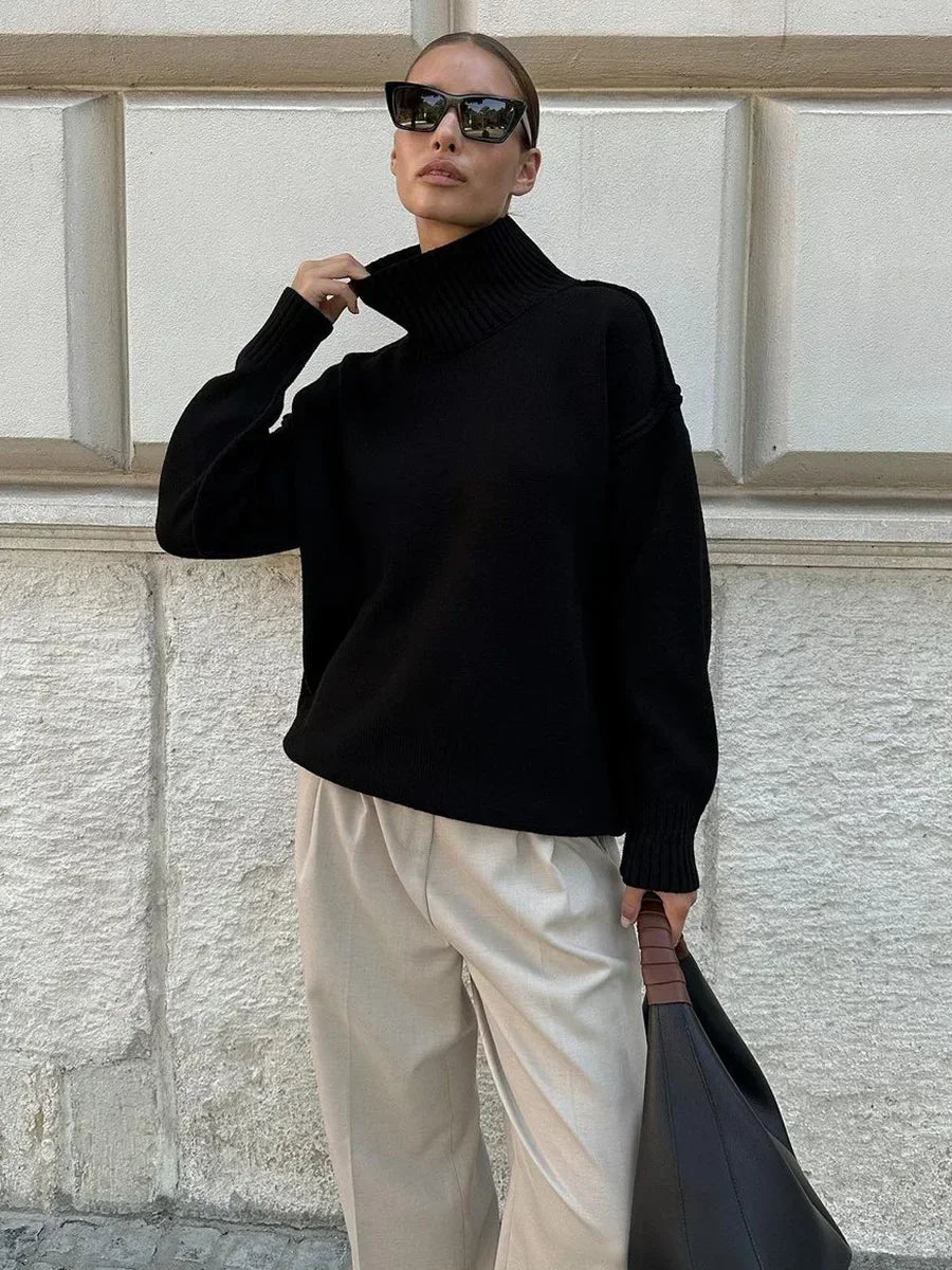 Darwin sweater with turtleneck in smooth knit look